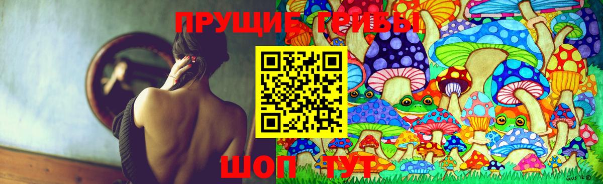 Галлюциногенные грибы GOLDEN TEACHER Фролово