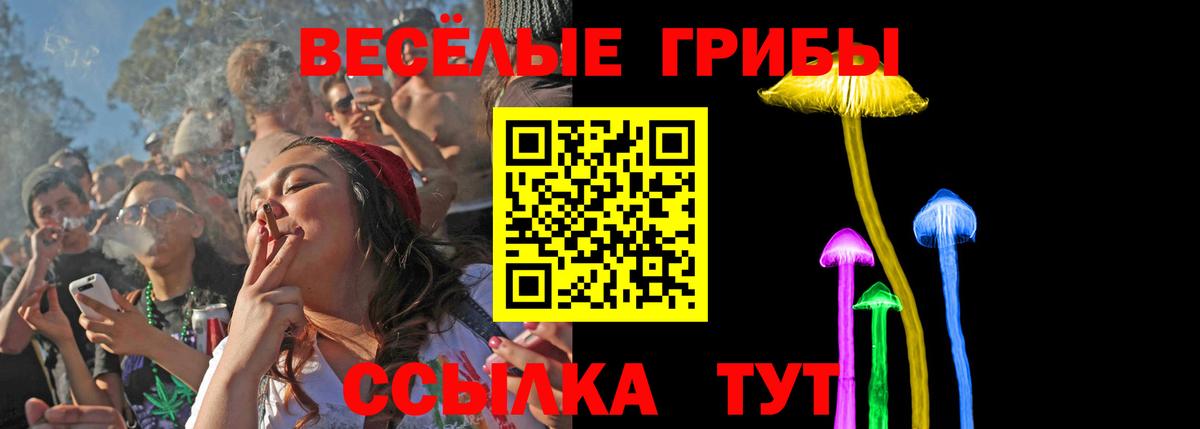 Фролово  Галлюциногенные грибы Magic Shrooms  Вход с VPN 